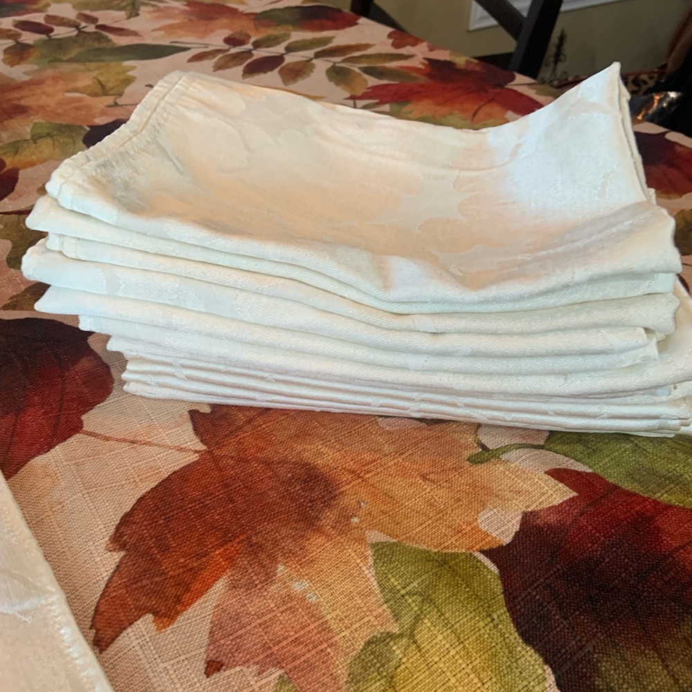 Cream satin like dinner napkins.